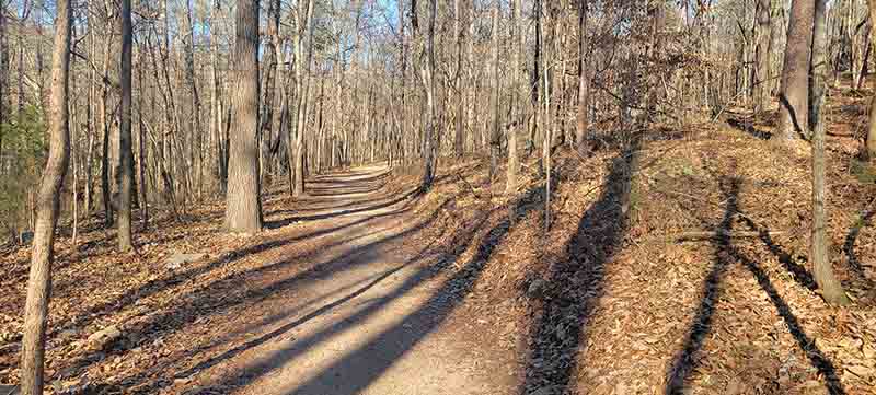 Red Mountain Park hiking trail